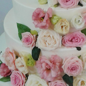 foto torta